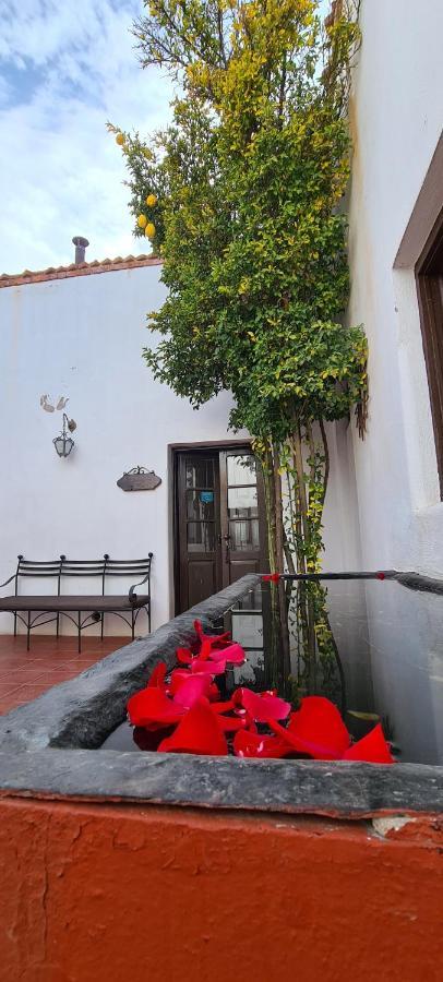 San Felipe El Real Hotel Chihuahua Exterior photo